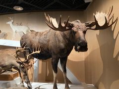 -陕西自然博物馆