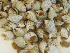 -笔架山食堂