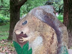 -上海共青森林公园