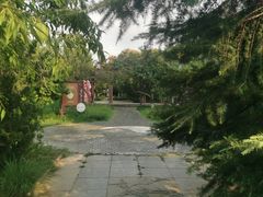 -桃花堤公园