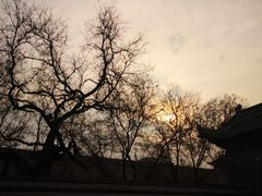 -关中书院