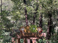 -大岭沟猕猴桃谷风景区