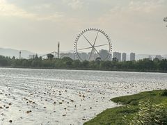 -庾园