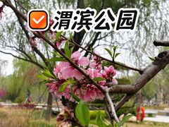 -渭滨公园