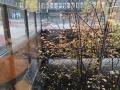 -星巴克(北京小米科技园1店)