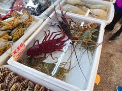 -澳门环岛游湾仔码头