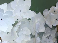 -朵朵开素食餐厅(后宰门街店)