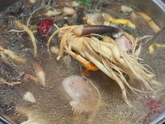 -千岛蚝高压锅生蚝·人参火锅(白云万达店)