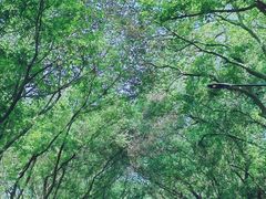 -广州市白云山风景名胜区
