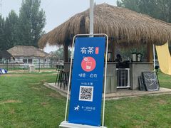 -爪吧宠物乐园·宠物泳池(温榆河示范区店)
