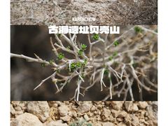 -天津古林古海岸遗迹博物馆