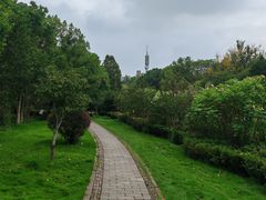 -杭州城北体育公园