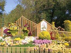 -上海共青森林公园