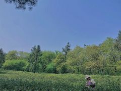 -虞山风景区
