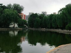 -团结湖公园