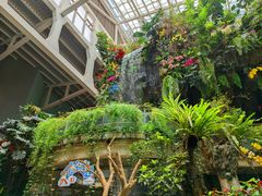 -正佳雨林生态植物园