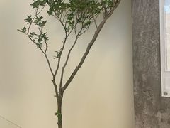 -喜茶(广州番禺奥园广场店)