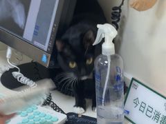 -全心全意连锁动物医院·微创中心·内科急重症·心脏专科(丰管路店)