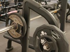 -章鱼健身 Octopus