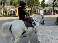 -J Create城市露营咖啡·简餐·宠物(上海动物园店)