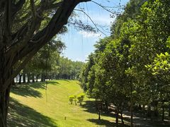 -福建鲤鱼洲酒店