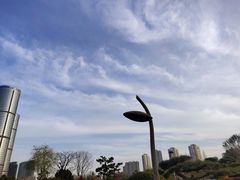-日照海滨国家森林公园