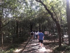 -紫金山山顶公园