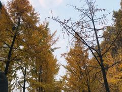 -河南省黄河迎宾馆