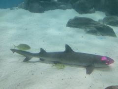 -苏州海洋馆