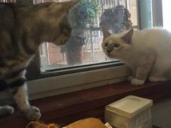-万小咖.猫咖(中山路天虹店)