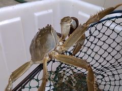 -乡乐园蟹庄·阳澄湖农家乐