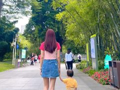 -晓港公园