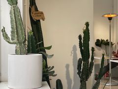 -收获咖啡HARVEST RESERVE(苍山店)
