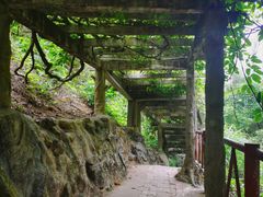 -大雁山风景区
