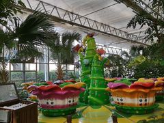 -南宫五洲植物乐园