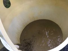 -100蛋泥浆浴