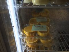 -志龙皇冠吃货椰子铺