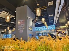 -小肥牛潮汕牛肉火锅(南联店)