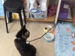 -瑞鹏·疫苗·绝育·宠物医院(金沙洲店)