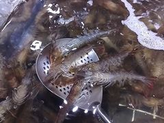 -聚盛源蒸汽海鲜火锅烤肉自助(巨川金海岸购物广场店)