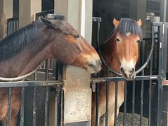 -金庭庄园酒店-停车场