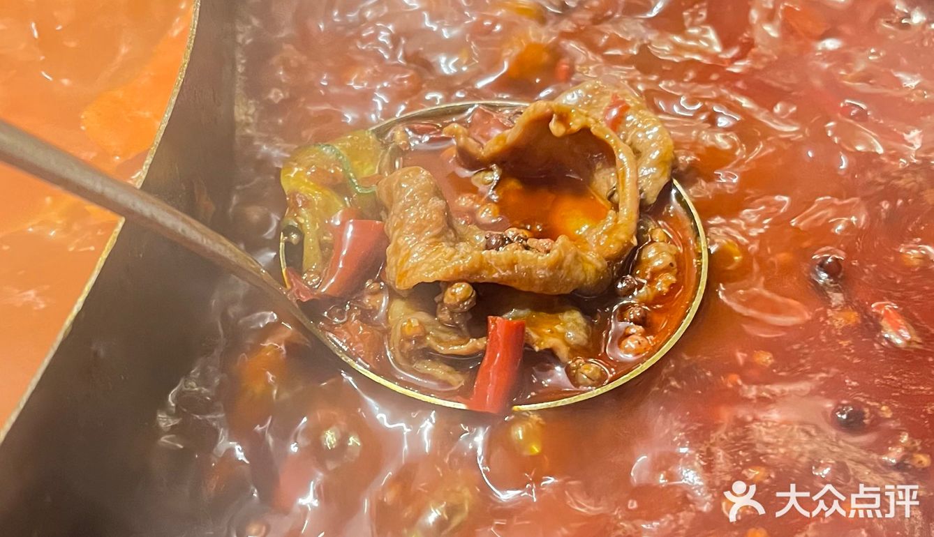 宝藏火锅朱光玉🍲好吃到想天天去！