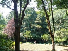 -南山风景名胜区