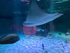 -沈阳海洋探索中心