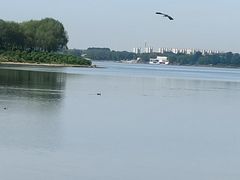 -丁香湖公园