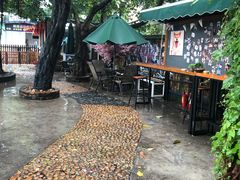 -柴犬高等学院·狗咖·柴犬售卖·宠物训练