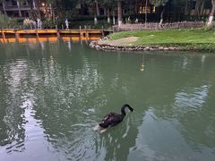 -乌村