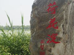 -白洋淀景区