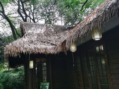-中国茶叶博物馆(双峰馆区)