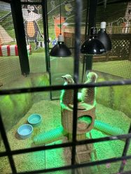 -酷嗒动物文化乐园(cutezoo西溪乐天城店)